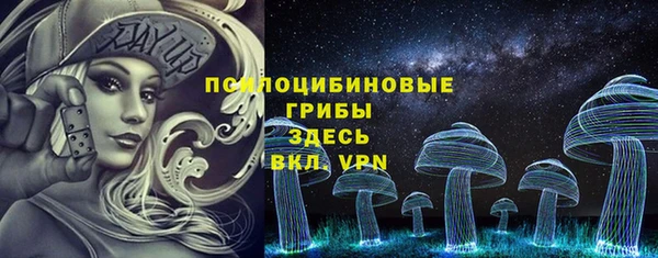прущие грибы Алексин