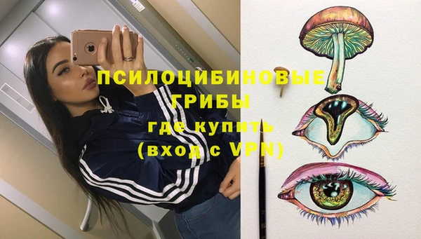 прущие грибы Алексин