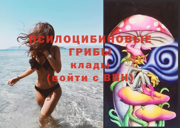прущие грибы Алексин