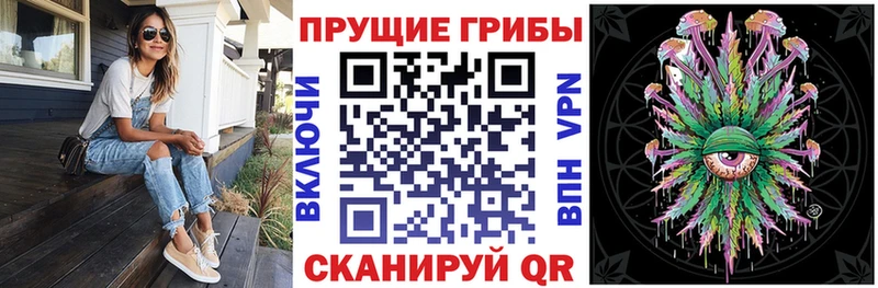 Псилоцибиновые грибы мицелий  MEGA ТОР  Зверево 